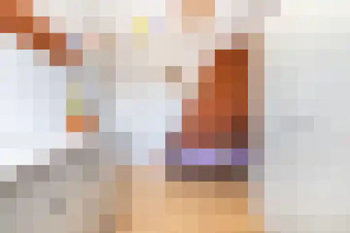 Koolmees 33 Breda thumbnail 17