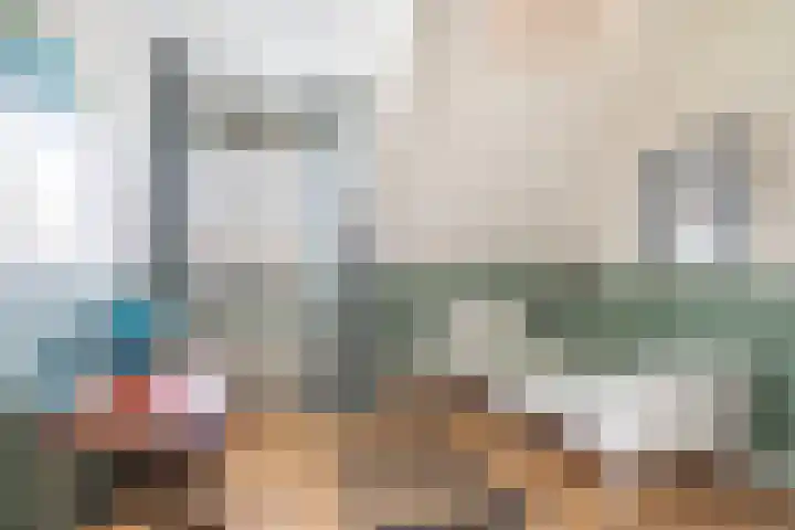 Koolmees 33 Breda thumbnail 18