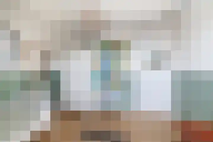 Koolmees 33 Breda thumbnail 19
