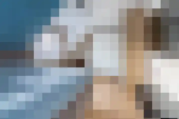 Koolmees 33 Breda thumbnail 20