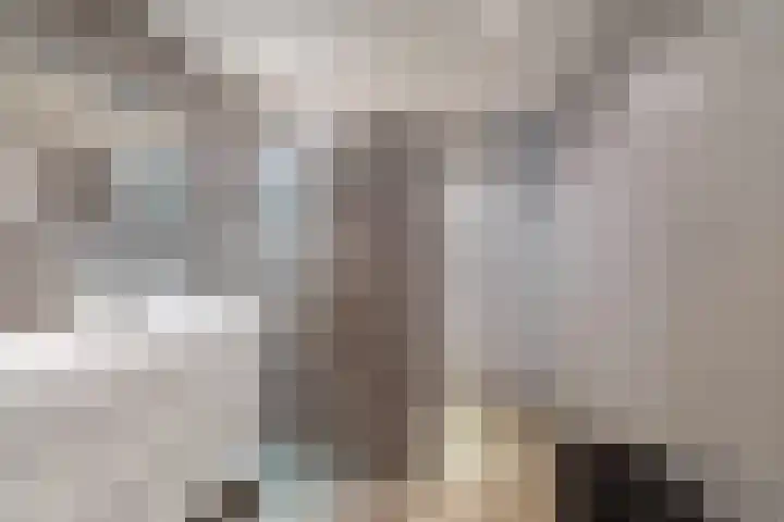 Koolmees 33 Breda thumbnail 22