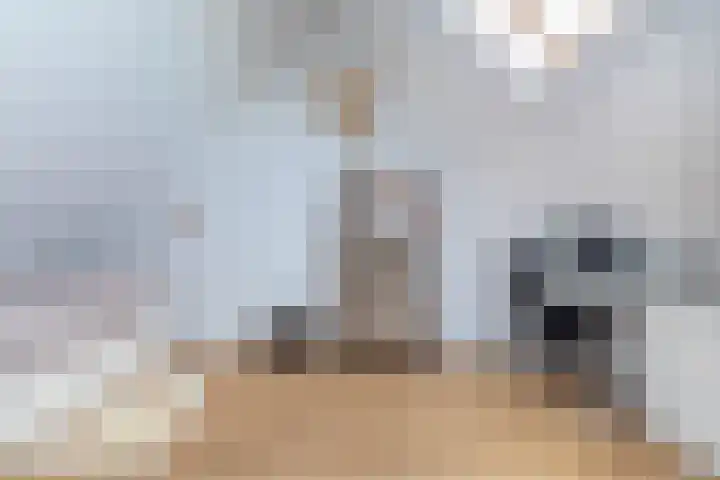 Koolmees 33 Breda thumbnail 24