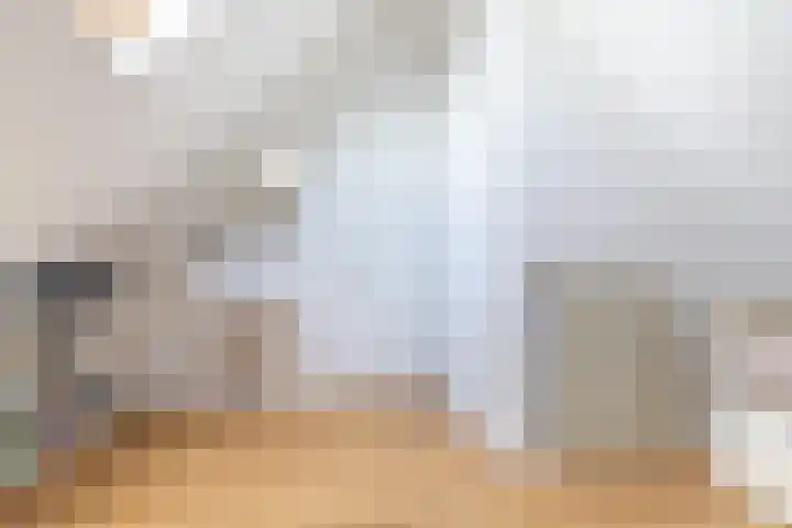 Koolmees 33 Breda thumbnail 25