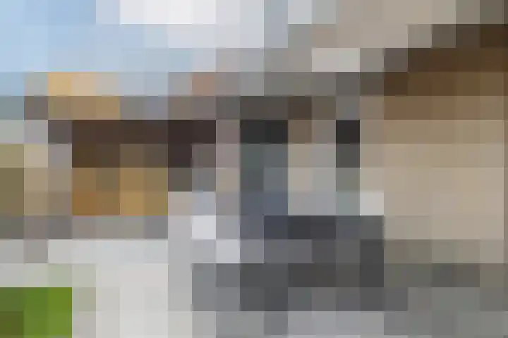 Koolmees 33 Breda thumbnail 26