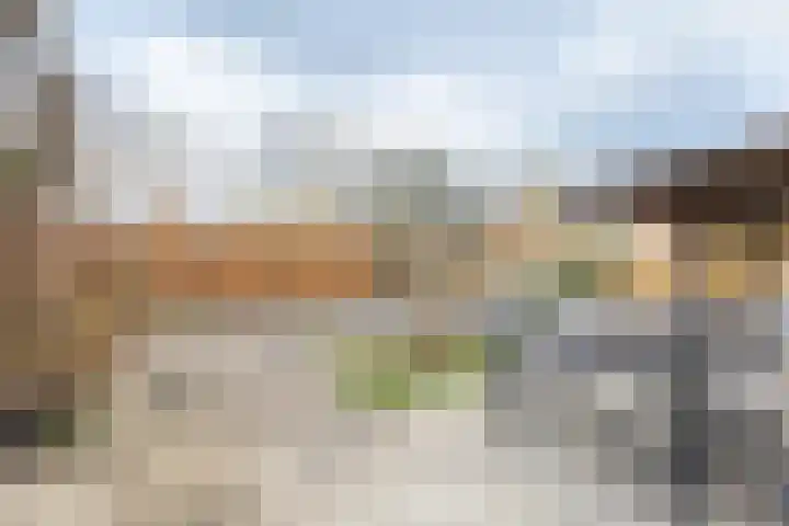 Koolmees 33 Breda thumbnail 27