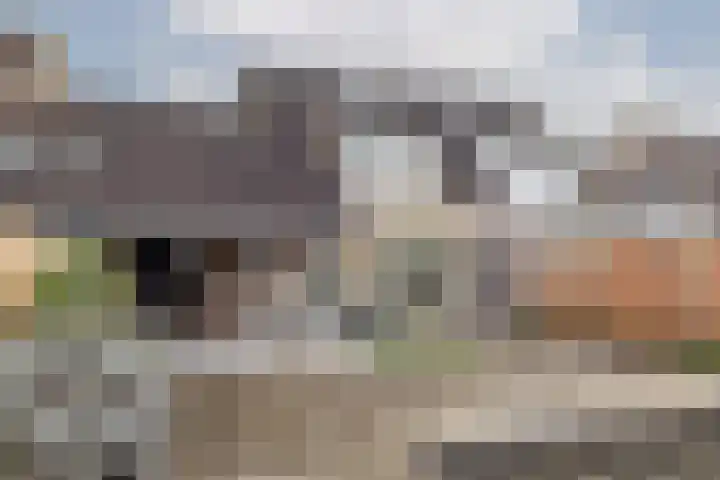 Koolmees 33 Breda thumbnail 28