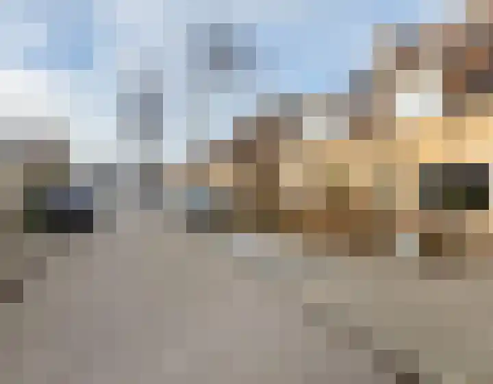 Koolmees 33 Breda thumbnail 29