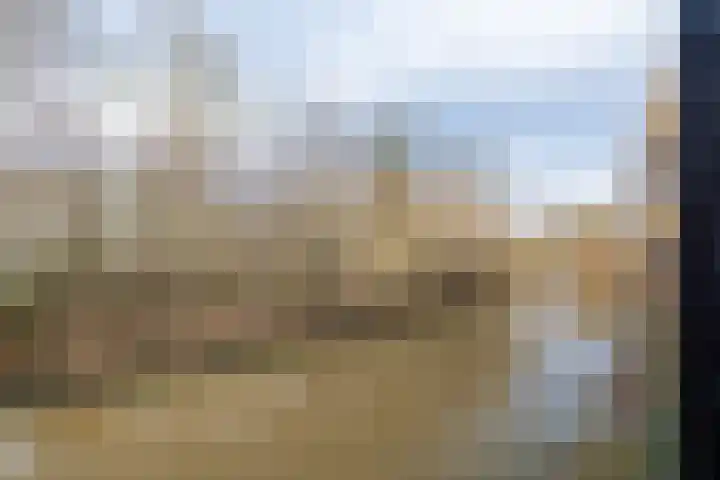 Koolmees 33 Breda thumbnail 30