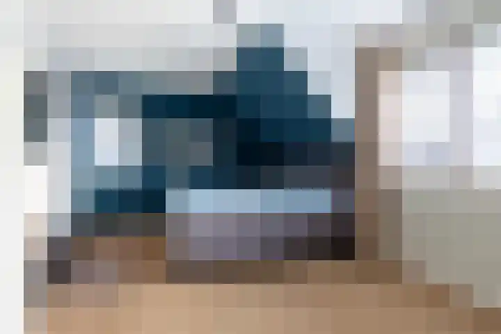 Koolmees 33 Breda thumbnail 4