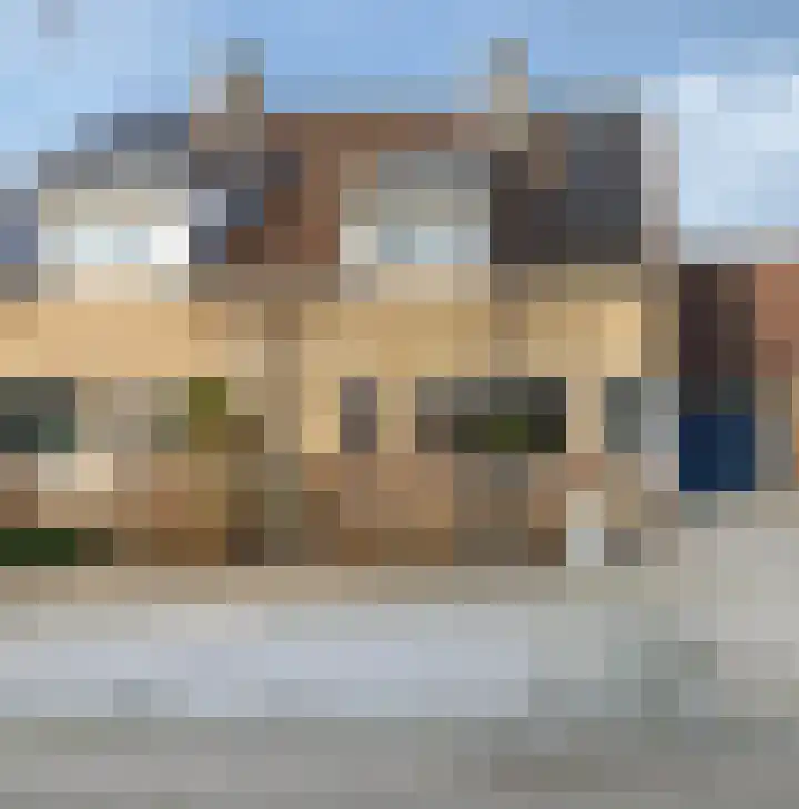 Koolmees 33 Breda thumbnail 6