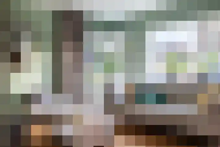 Koolmees 33 Breda thumbnail 8