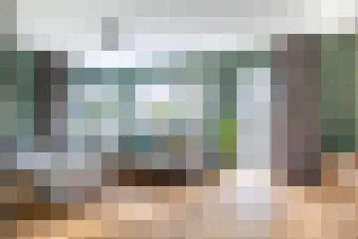 Koolmees 33 Breda thumbnail 9