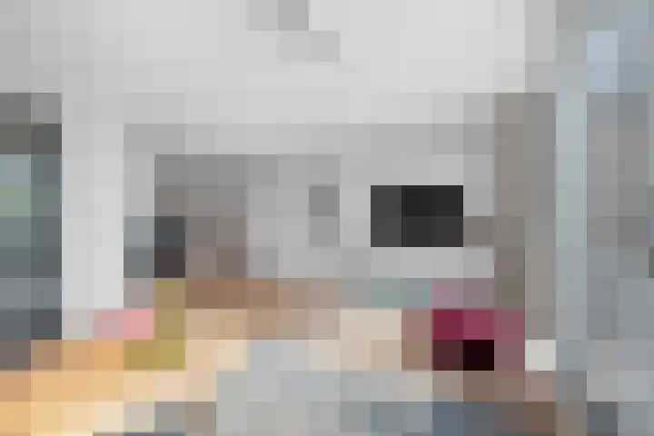 Koolmees 33 Emmen thumbnail 10