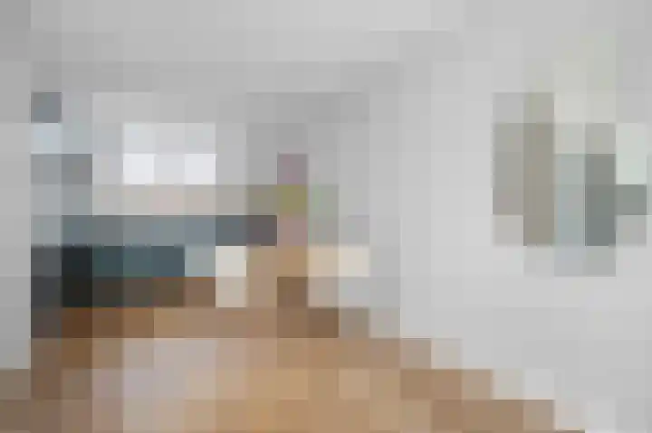 Koolmees 33 Emmen thumbnail 11