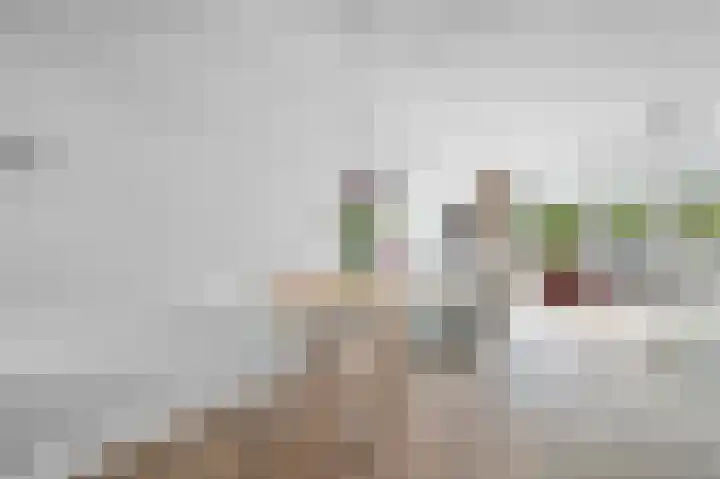 Koolmees 33 Emmen thumbnail 12
