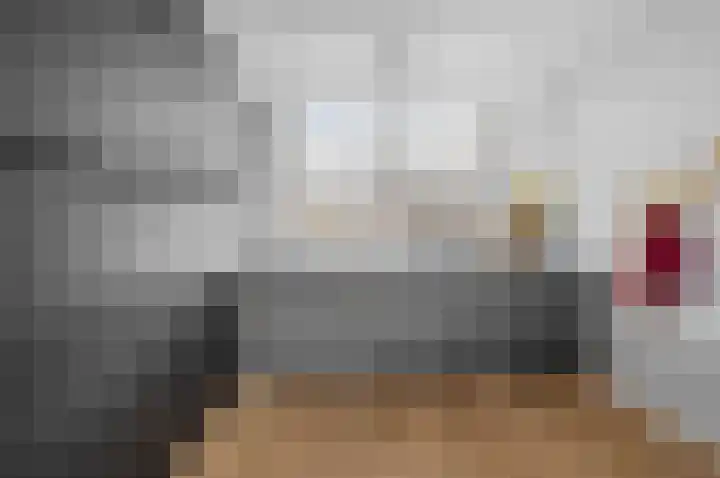 Koolmees 33 Emmen thumbnail 13