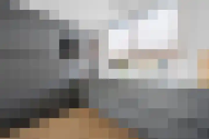 Koolmees 33 Emmen thumbnail 14