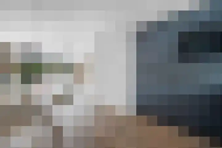 Koolmees 33 Emmen thumbnail 15