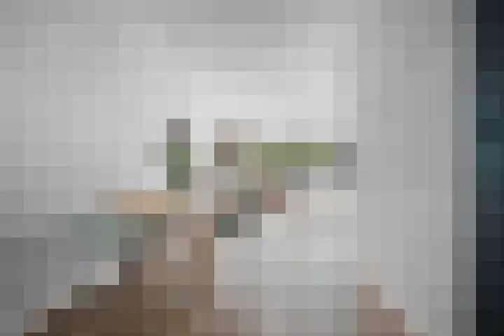 Koolmees 33 Emmen thumbnail 16