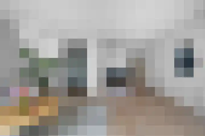 Koolmees 33 Emmen thumbnail 17