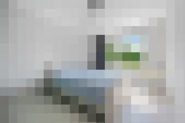 Koolmees 33 Emmen thumbnail 19