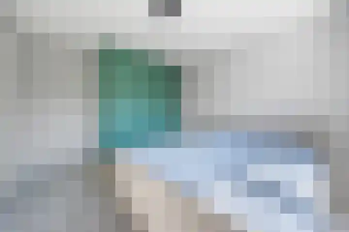 Koolmees 33 Emmen thumbnail 20