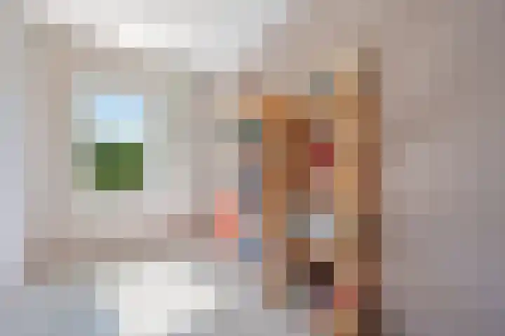 Koolmees 33 Emmen thumbnail 21