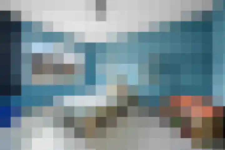 Koolmees 33 Emmen thumbnail 23