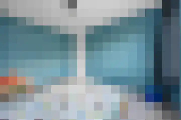 Koolmees 33 Emmen thumbnail 24