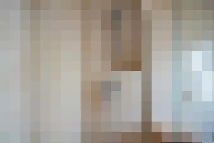 Koolmees 33 Emmen thumbnail 26