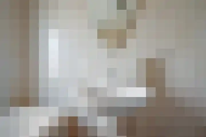 Koolmees 33 Emmen thumbnail 27