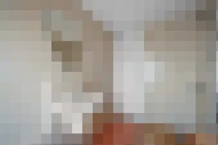 Koolmees 33 Emmen thumbnail 28