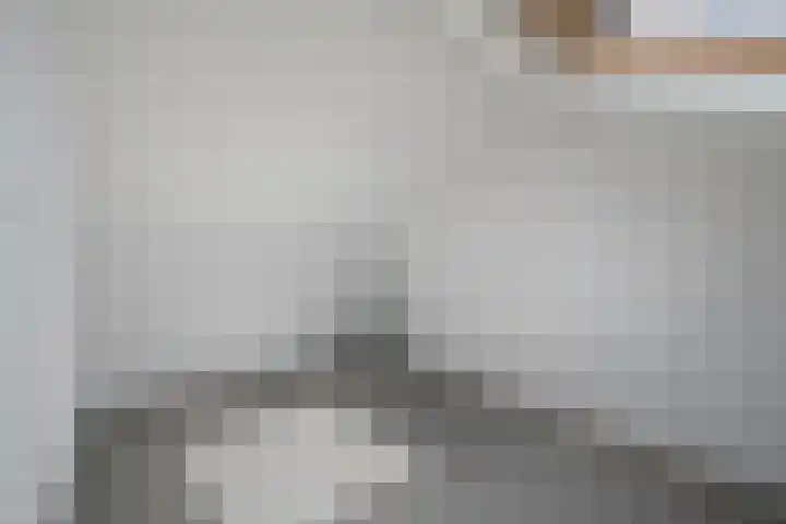 Koolmees 33 Emmen thumbnail 29