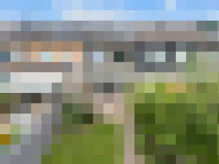 Koolmees 33 Emmen thumbnail 31