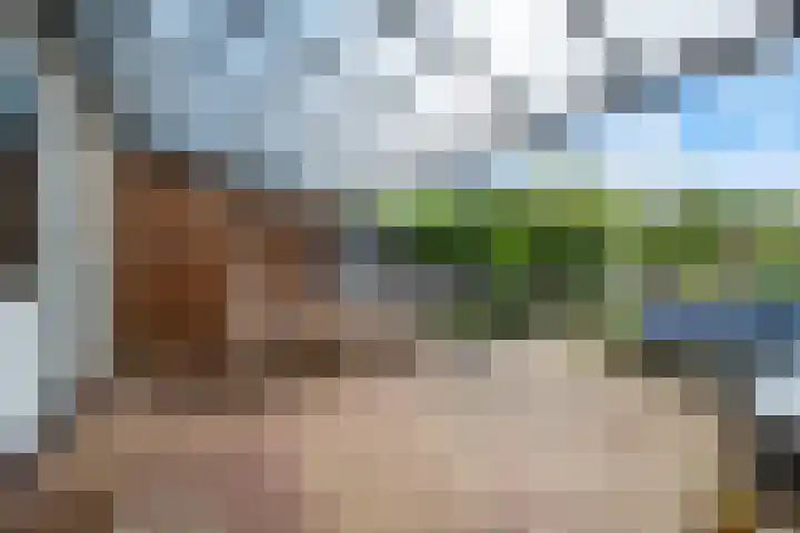 Koolmees 33 Emmen thumbnail 32