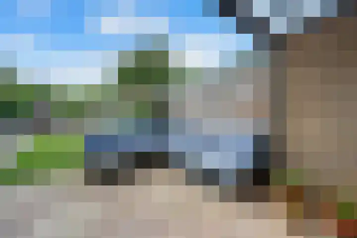Koolmees 33 Emmen thumbnail 33