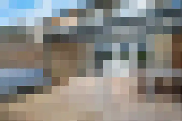 Koolmees 33 Emmen thumbnail 34