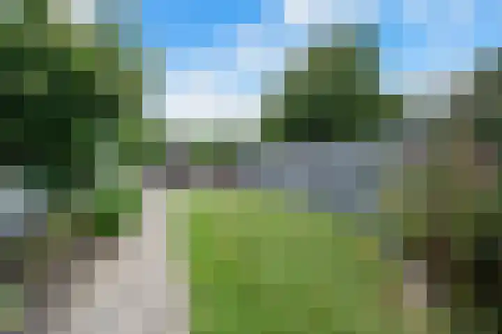 Koolmees 33 Emmen thumbnail 35