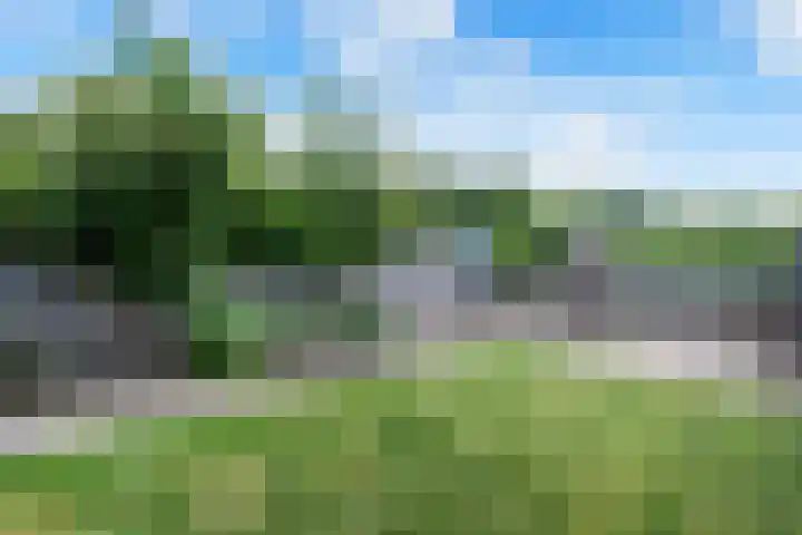 Koolmees 33 Emmen thumbnail 36