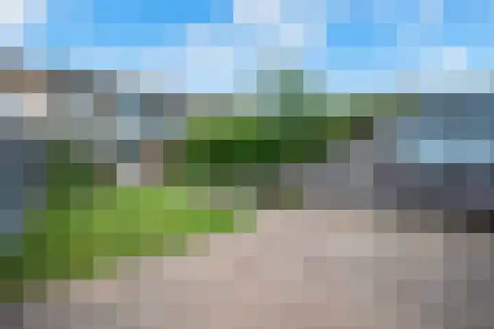 Koolmees 33 Emmen thumbnail 37