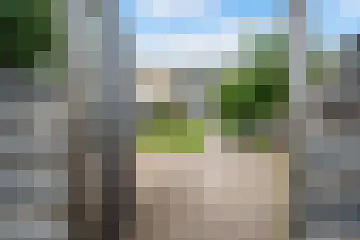 Koolmees 33 Emmen thumbnail 38