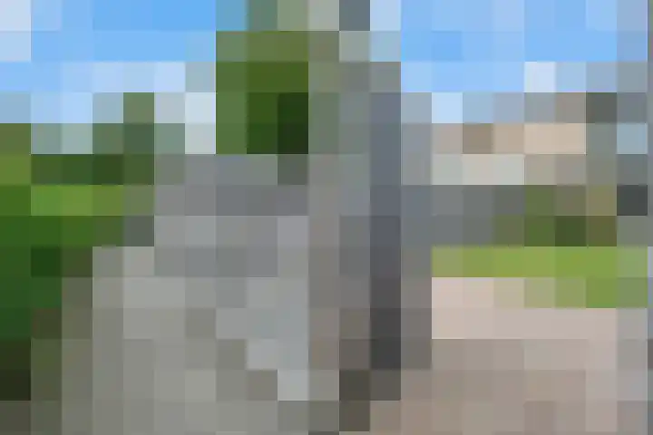 Koolmees 33 Emmen thumbnail 39
