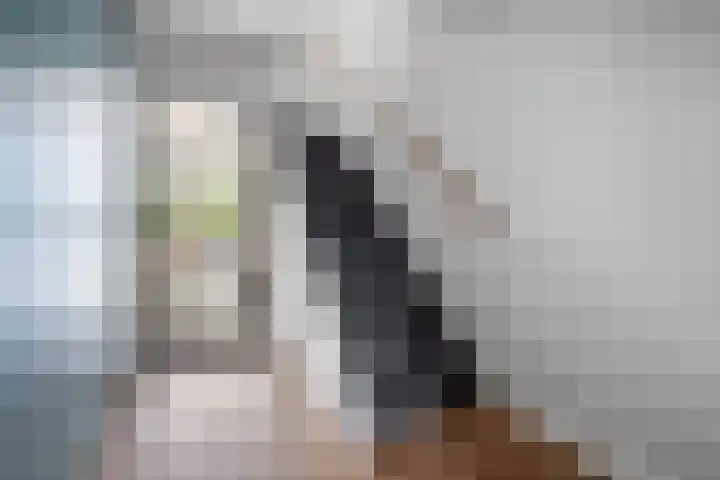 Koolmees 33 Emmen thumbnail 4
