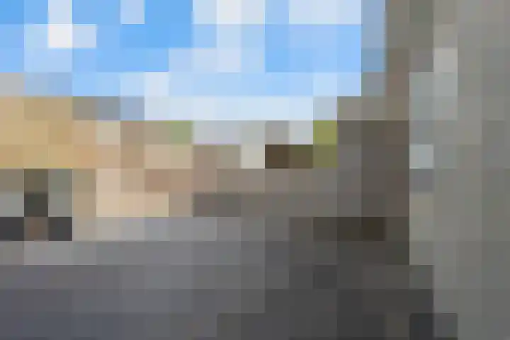 Koolmees 33 Emmen thumbnail 40