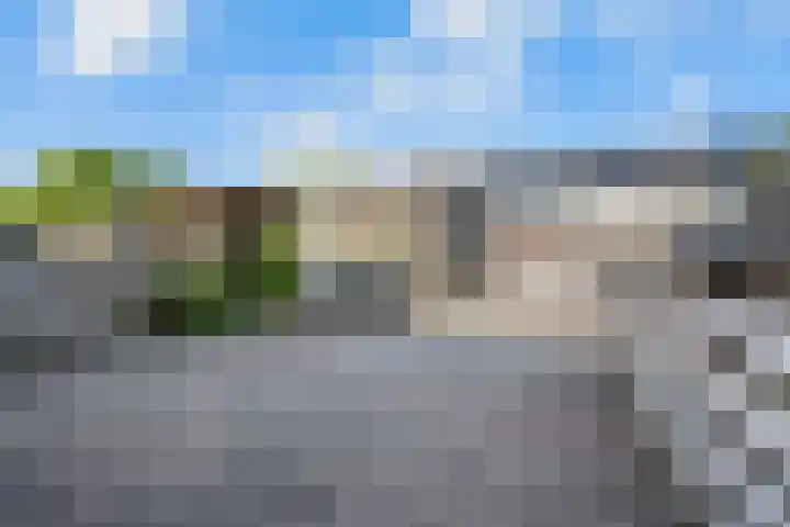 Koolmees 33 Emmen thumbnail 41