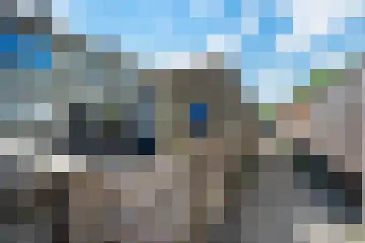 Koolmees 33 Emmen thumbnail 42