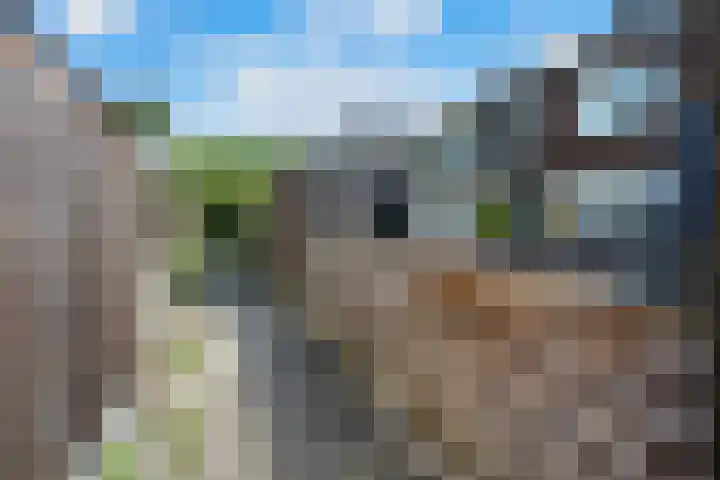 Koolmees 33 Emmen thumbnail 43