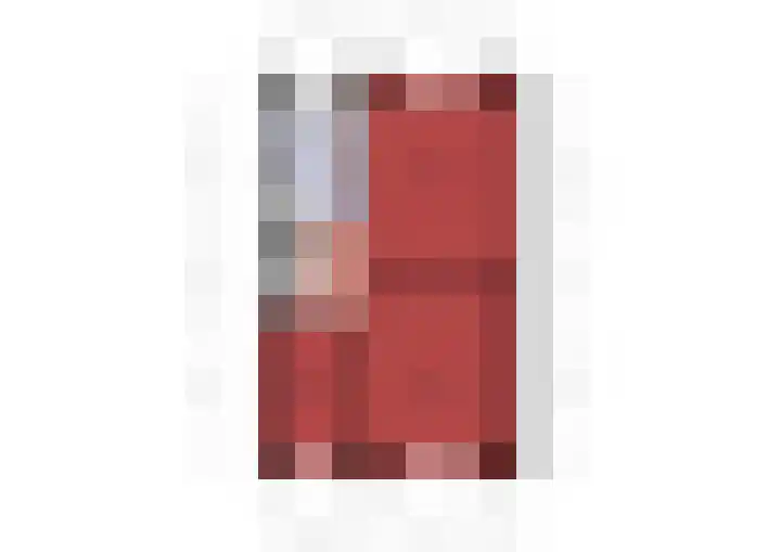 Koolmees 33 Emmen thumbnail 45