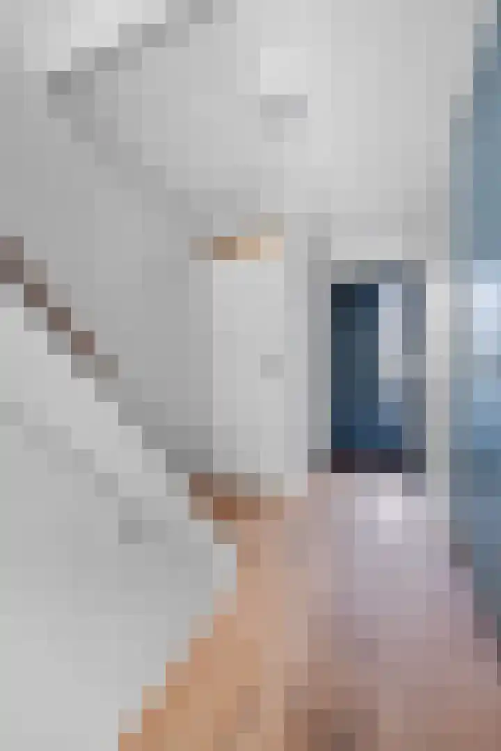 Koolmees 33 Emmen thumbnail 5