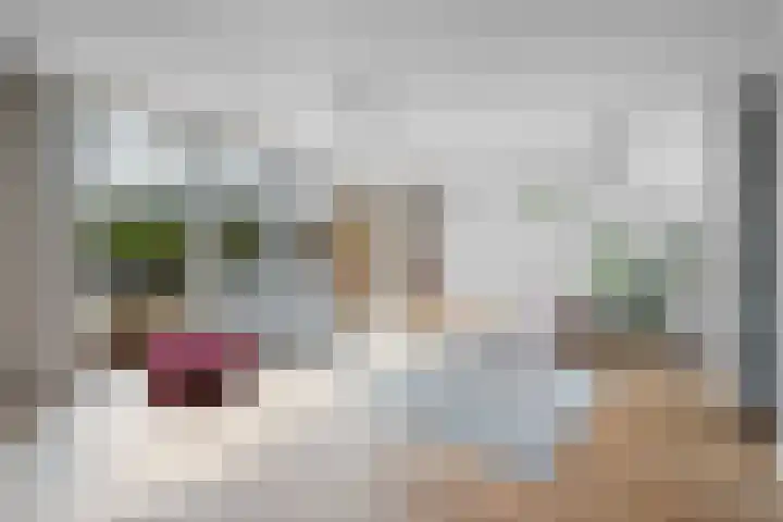 Koolmees 33 Emmen thumbnail 7